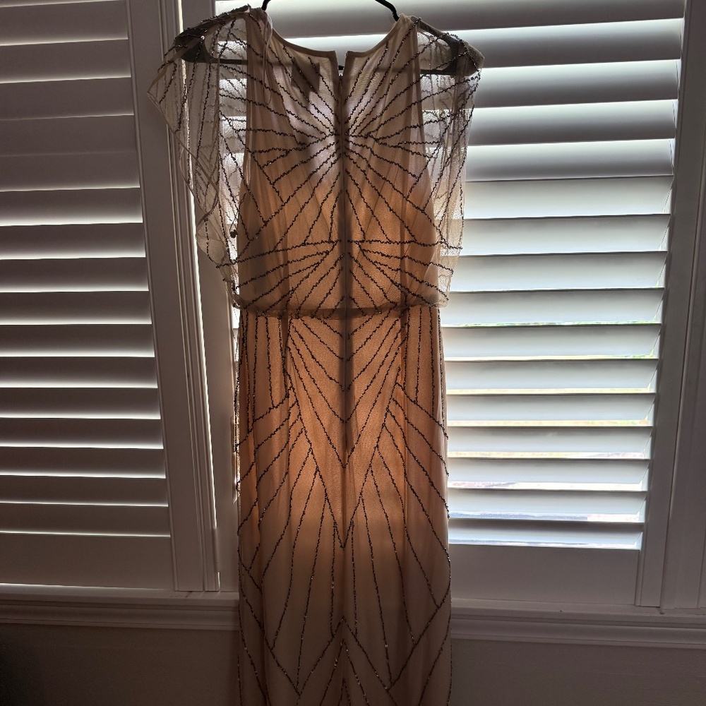 Adrianna Papell Gown